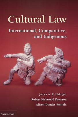 Cultural LawPDF电子书下载