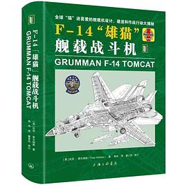 F-14“雄猫”舰载战斗机PDF电子书下载