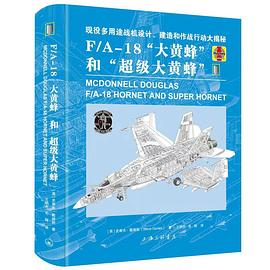 F/A-18“大黄蜂”和“超级大黄蜂”