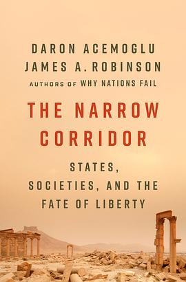 The Narrow CorridorPDF电子书下载